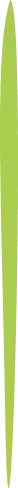 Vector Bar