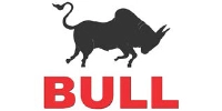 Bull Synergy logo